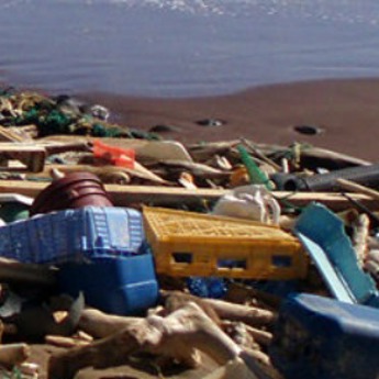 Marine Debris Removal