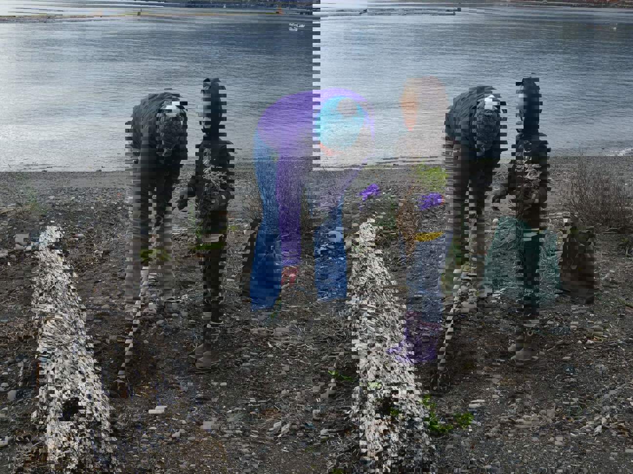 A young girl holds a plant on a beach while an adult digs a hole for planting next to her