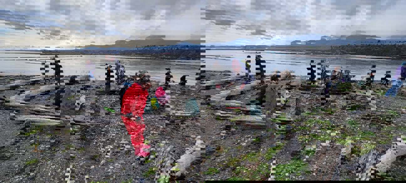 Several volunteers, including children, dig holes among beach logs